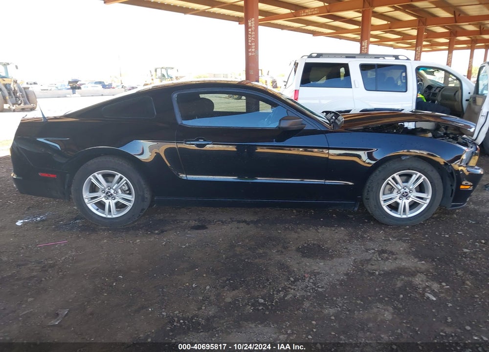 2013 FORD MUSTANG V6 VIN: 1ZVBP8AM1D5219477