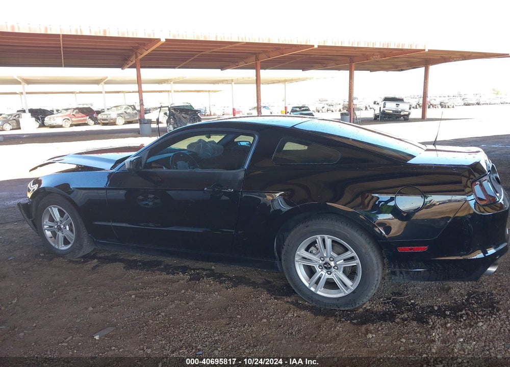 2013 FORD MUSTANG V6 VIN: 1ZVBP8AM1D5219477