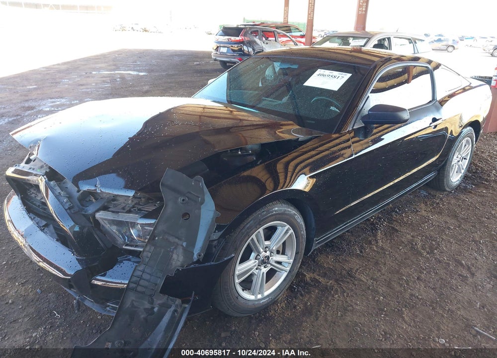 2013 FORD MUSTANG V6 VIN: 1ZVBP8AM1D5219477