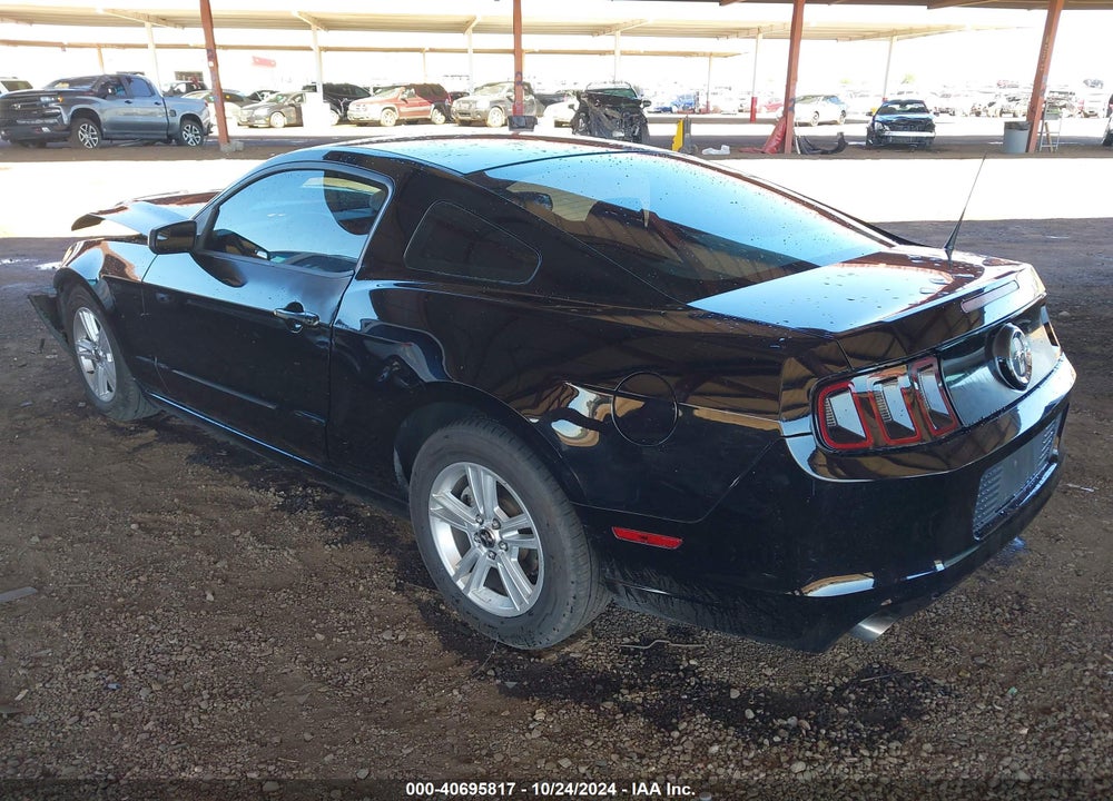 2013 FORD MUSTANG V6 VIN: 1ZVBP8AM1D5219477