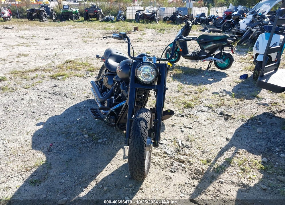 2021 HARLEY-DAVIDSON FLSL VIN: 1HD1YDJ12MB066912