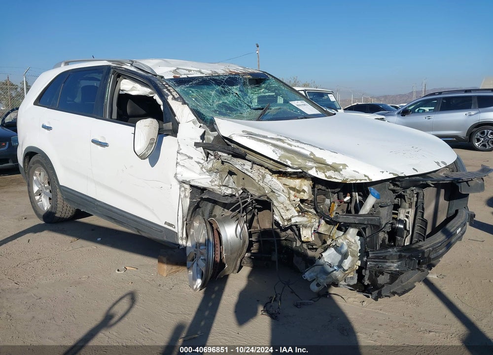 2014 KIA SORENTO LX VIN: 5XYKTCA63EG451087
