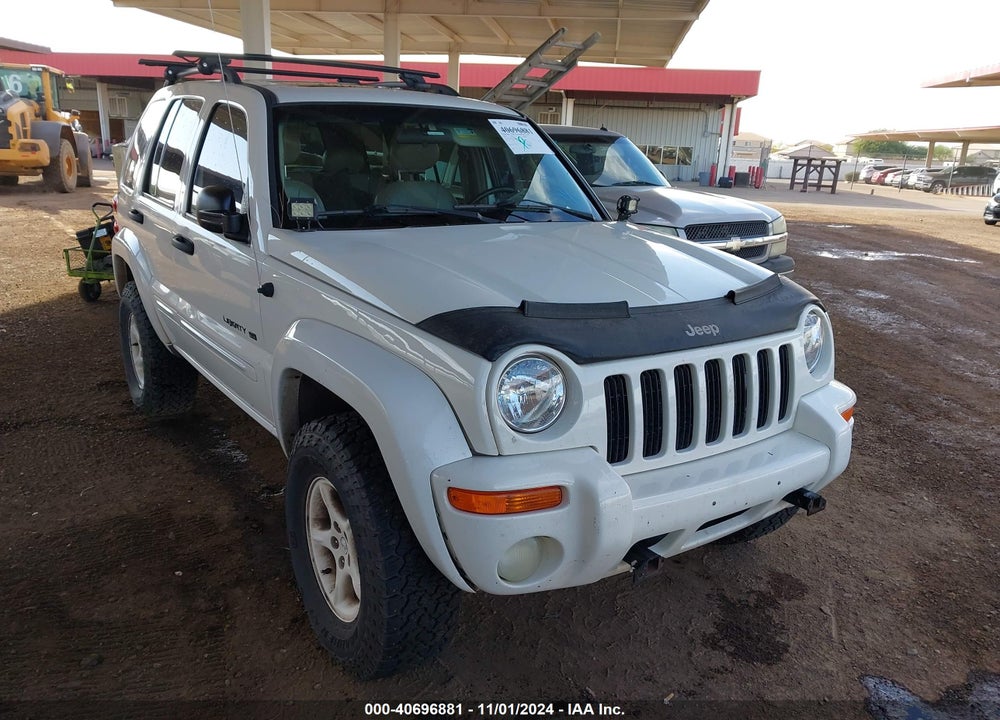 2002 JEEP LIBERTY LIMITED EDITION VIN: 1J4GL58K32W224382