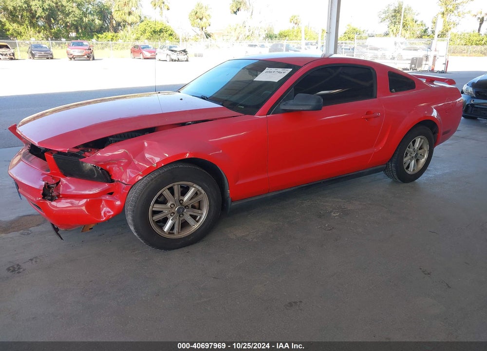 2006 FORD MUSTANG V6 VIN: 1ZVFT80NX65239821