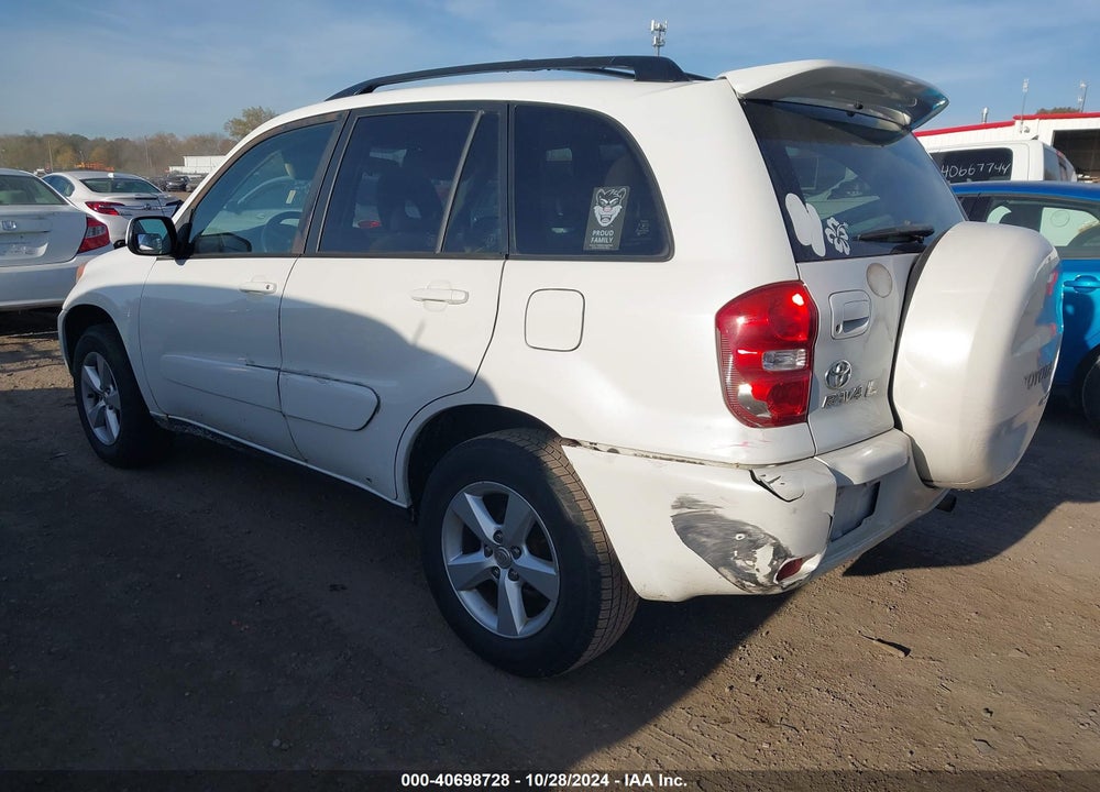 2004 TOYOTA RAV4 VIN: JTEGD20V640010866