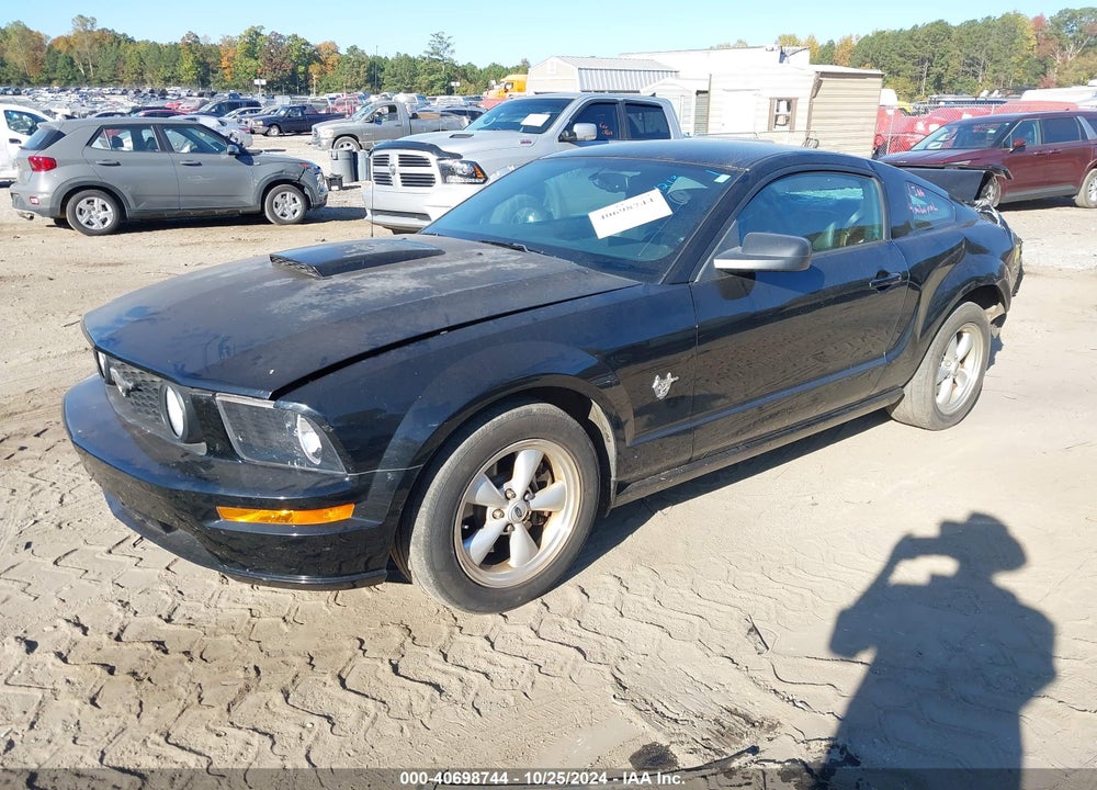 2009 FORD MUSTANG GT/GT PREMIUM VIN: 1ZVHT82H495101213