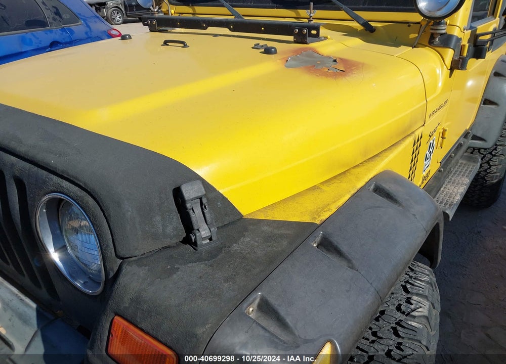 2002 JEEP WRANGLER SPORT VIN: 1J4FA49S02P738470