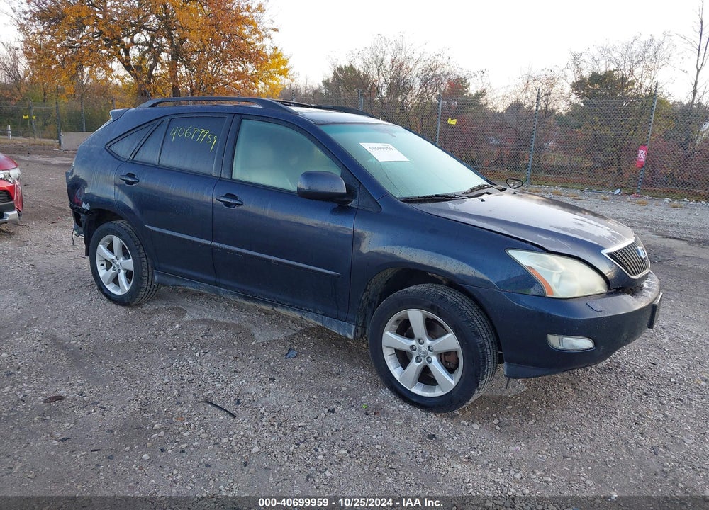 2004 LEXUS RX 330 VIN: JTJHA31U640007699