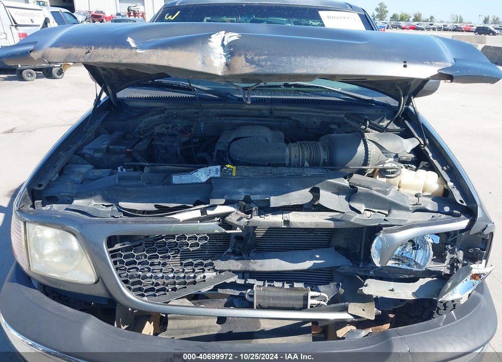 2002 FORD F-150 LARIAT/XL/XLT VIN: 1FTRX17WX2NA43995