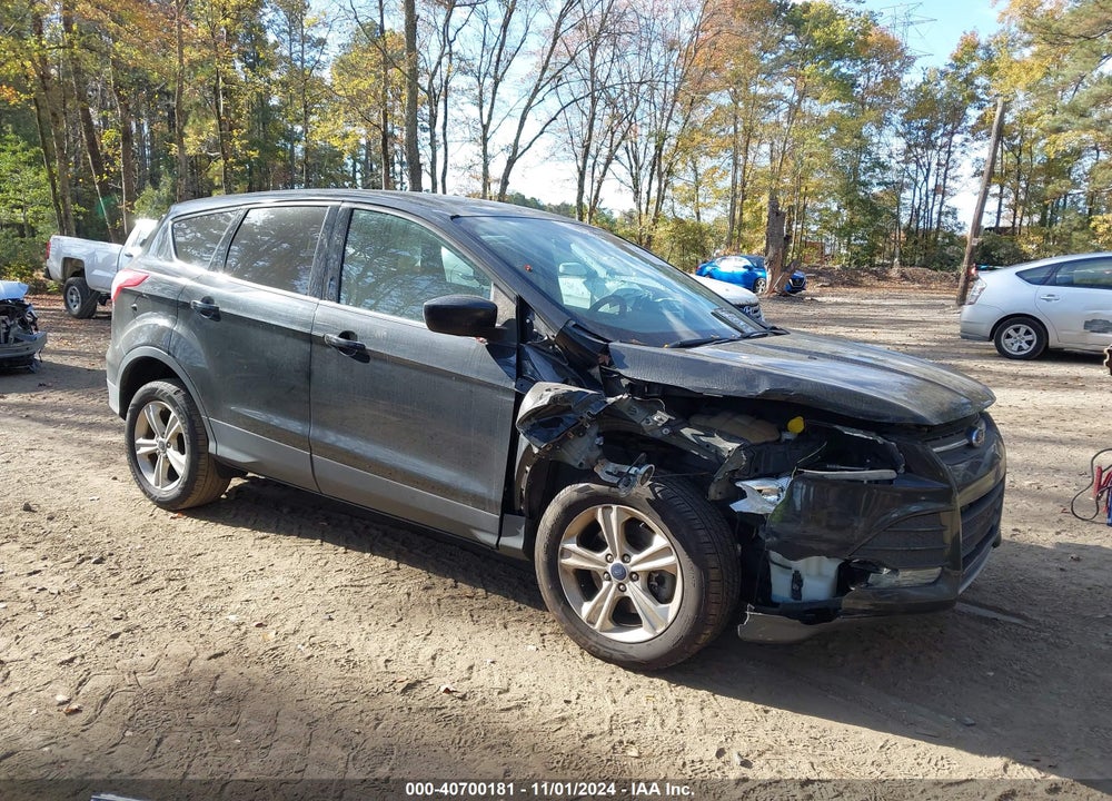 2014 FORD ESCAPE SE VIN: 1FMCU0G96EUD73089