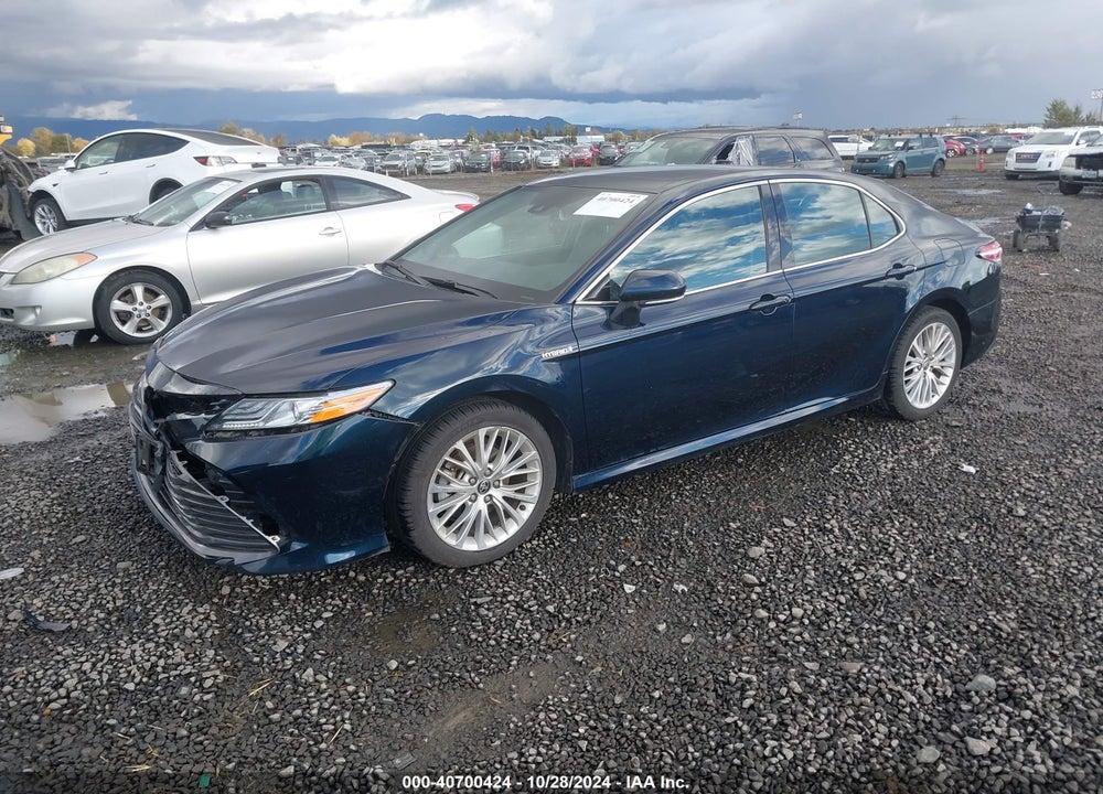 2020 TOYOTA CAMRY XLE HYBRID VIN: 4T1F31AK6LU532255