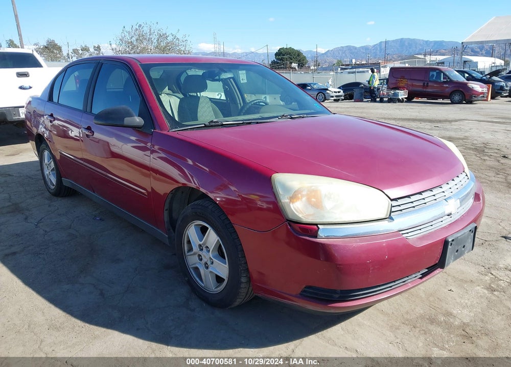 2004 CHEVROLET MALIBU LS VIN: 1G1ZT52834F197031