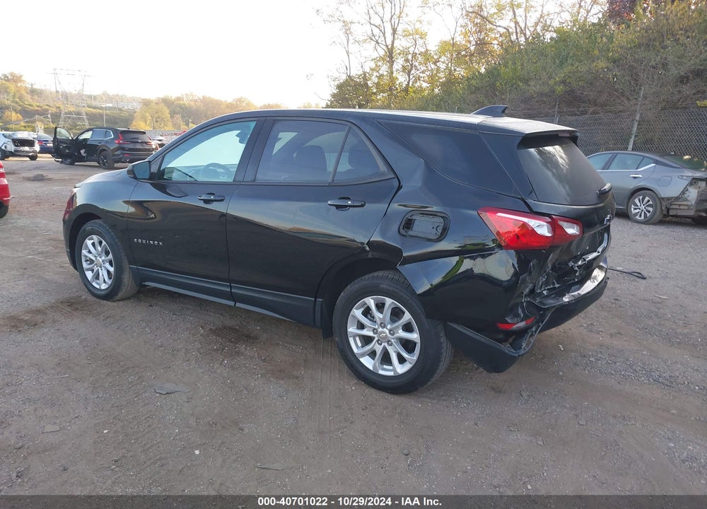 2019 CHEVROLET EQUINOX LS VIN: 3GNAXHEV7KL384858
