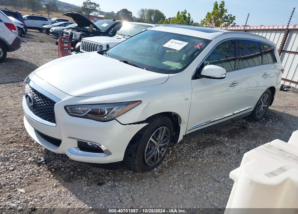 2020 INFINITI QX60 LUXE VIN: 5N1DL0MN1LC543399