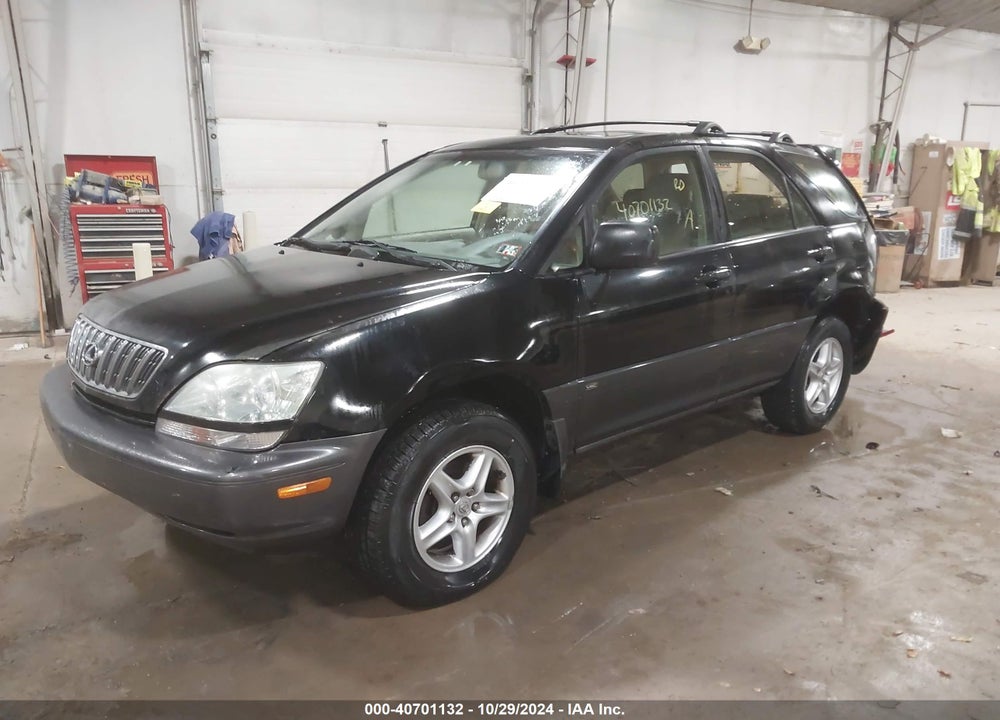 2002 LEXUS RX 300 VIN: JTJHF10U820254890