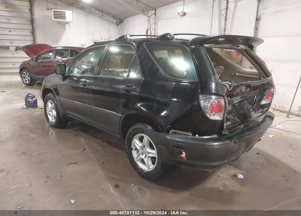 2002 LEXUS RX 300 VIN: JTJHF10U820254890