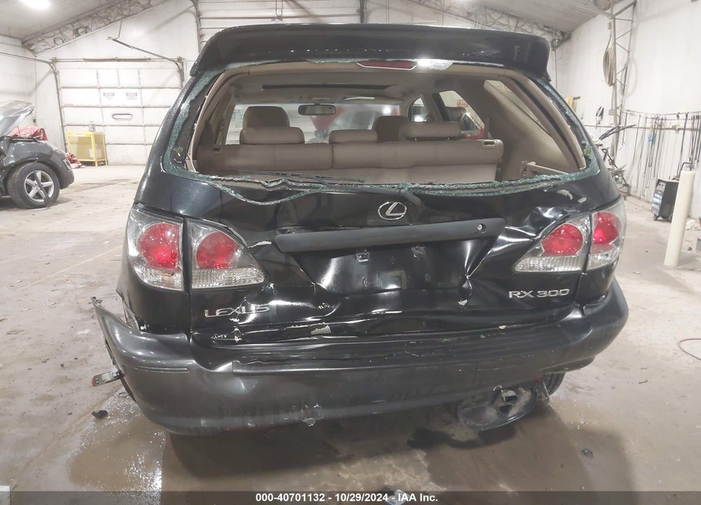 2002 LEXUS RX 300 VIN: JTJHF10U820254890