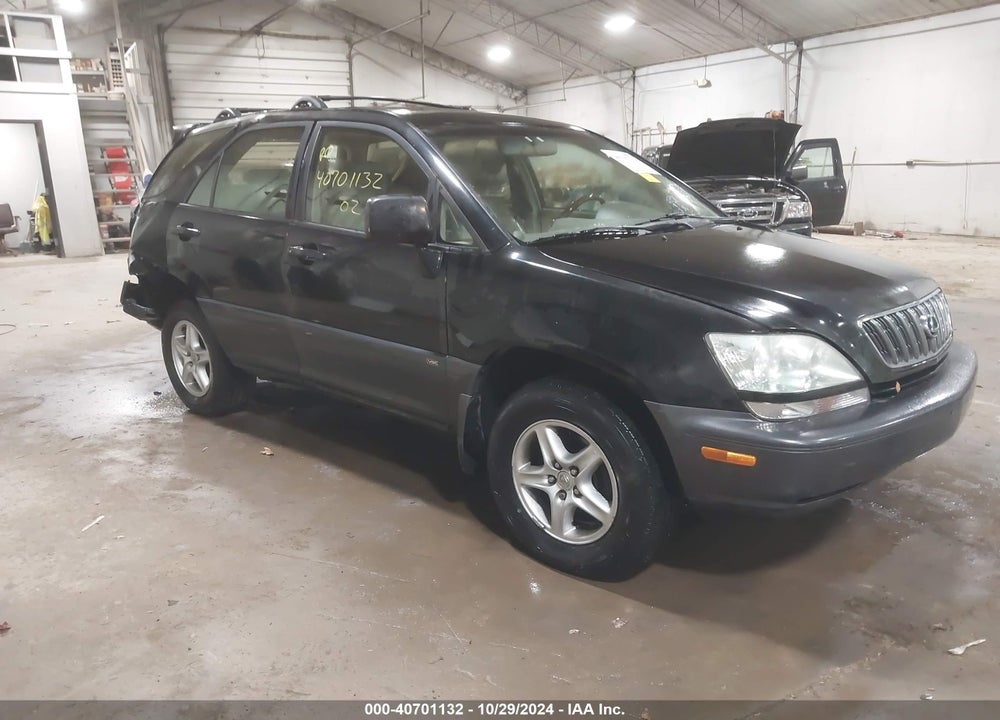 2002 LEXUS RX 300 VIN: JTJHF10U820254890