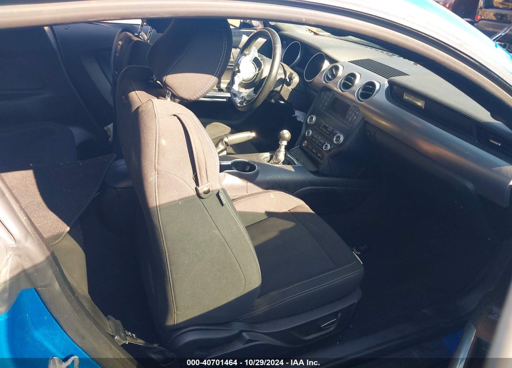 2019 FORD MUSTANG GT VIN: 1FA6P8CF3K5166450