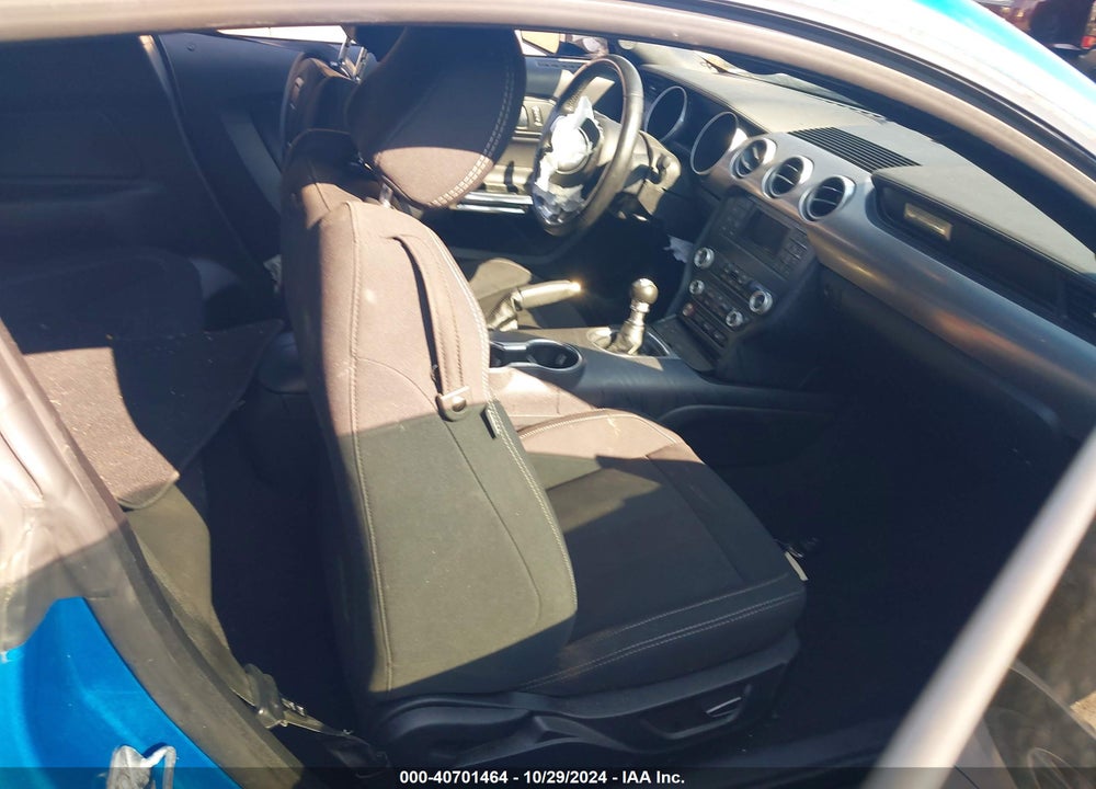 2019 FORD MUSTANG GT VIN: 1FA6P8CF3K5166450