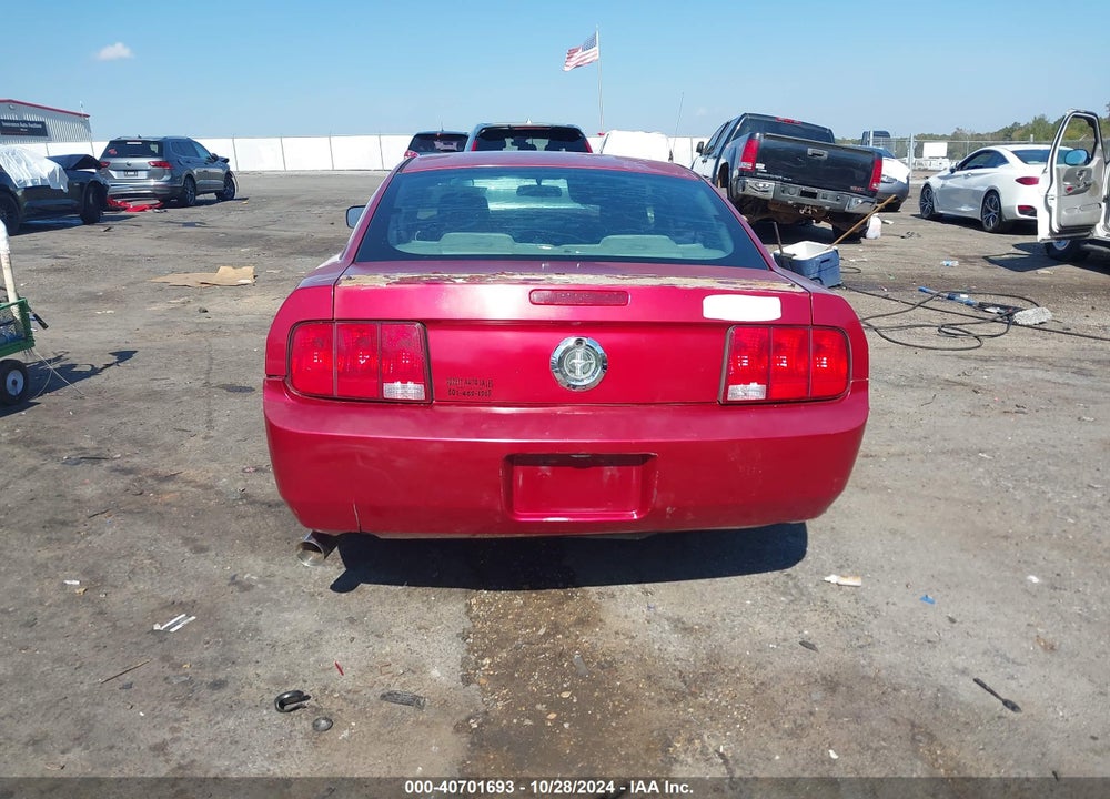 2005 FORD MUSTANG V6 DELUXE/V6 PREMIUM VIN: 1ZVFT80N355128431