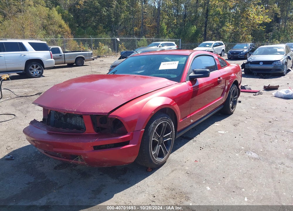 2005 FORD MUSTANG V6 DELUXE/V6 PREMIUM VIN: 1ZVFT80N355128431