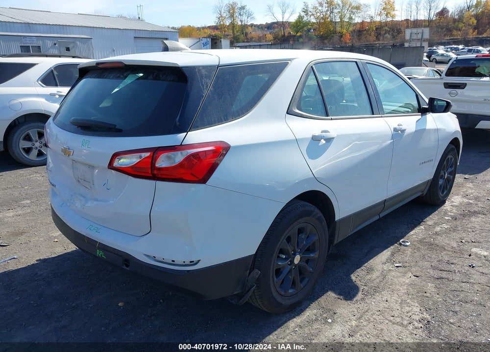 2019 CHEVROLET EQUINOX LS VIN: 2GNAXHEV8K6221527
