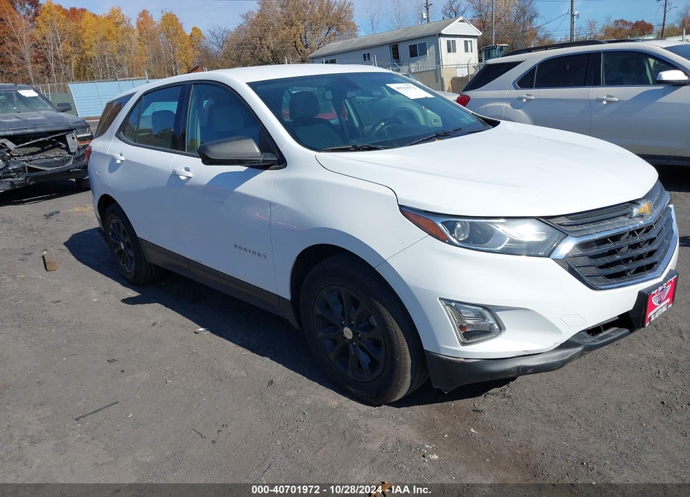 2019 CHEVROLET EQUINOX LS VIN: 2GNAXHEV8K6221527