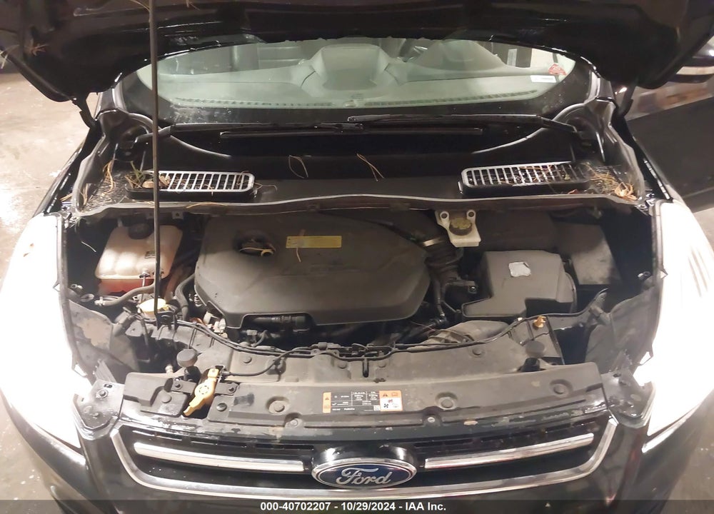 2013 FORD ESCAPE SEL VIN: 1FMCU0HX7DUD87157