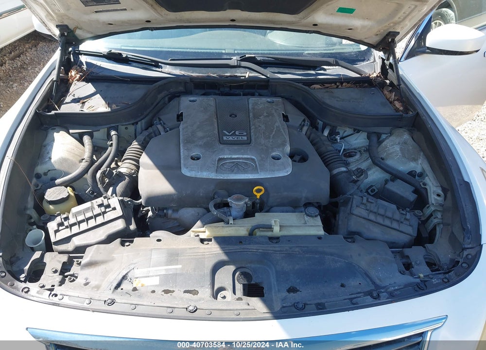 2010 INFINITI G37 JOURNEY VIN: JN1CV6AP4AM402162