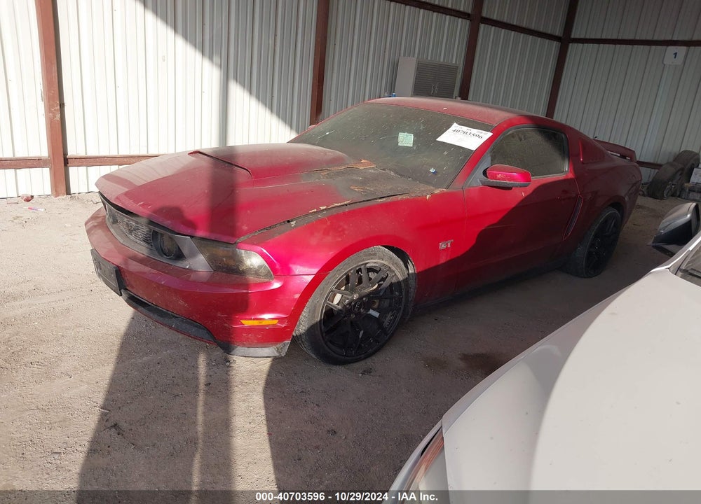 2010 FORD MUSTANG GT/GT PREMIUM VIN: 1ZVBP8CH0A5156674