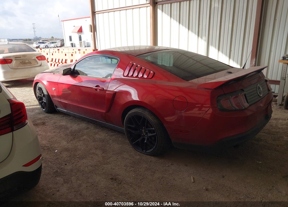 2010 FORD MUSTANG GT/GT PREMIUM VIN: 1ZVBP8CH0A5156674
