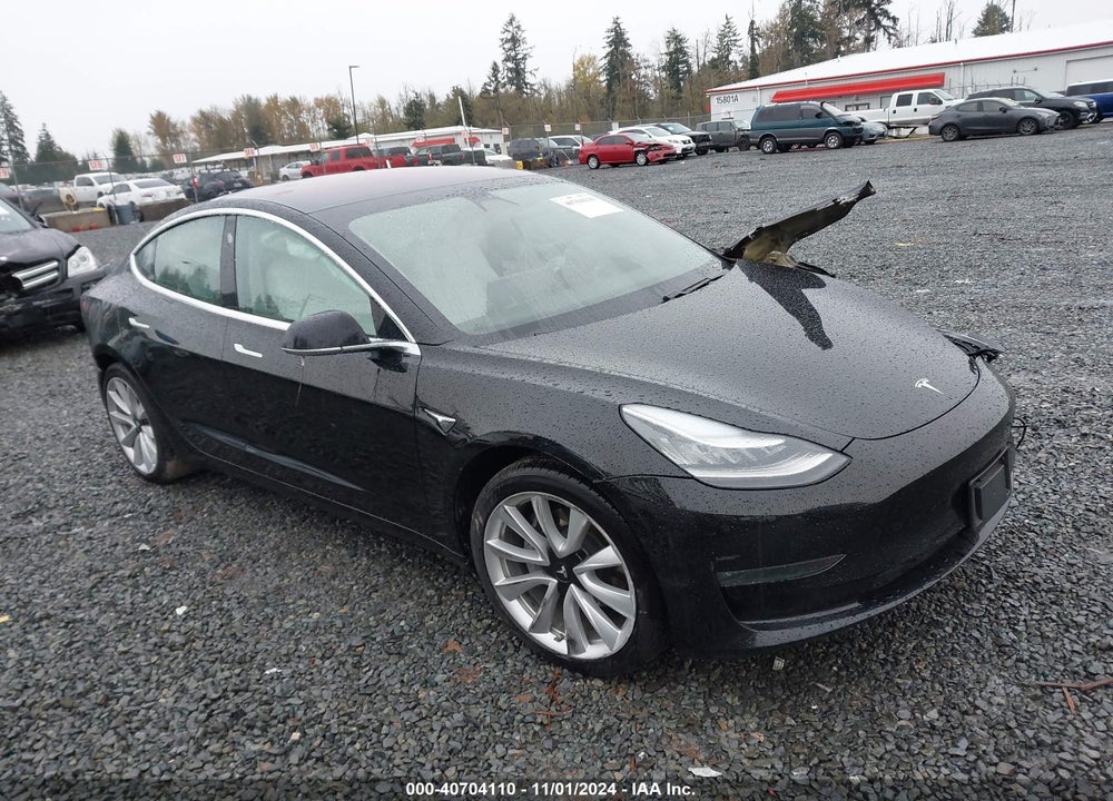 2019 TESLA MODEL 3 VIN: 5YJ3E1EBXKF192448