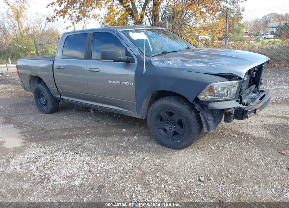 2011 RAM 1500 SPORT VIN: 1D7RV1CT0BS531507