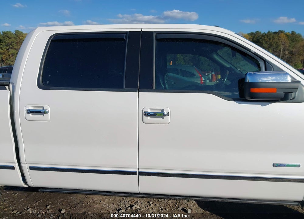 2014 FORD F-150 PLATINUM VIN: 1FTFW1ET6EFC25738