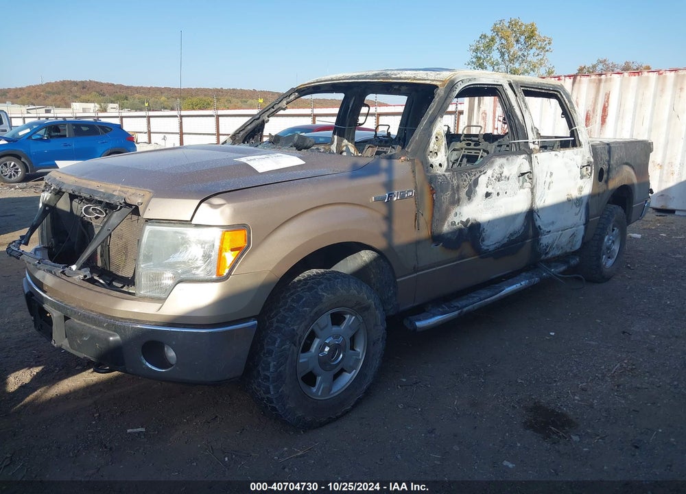 2013 FORD F-150 VIN: 1FTFW1EF4DKG08836