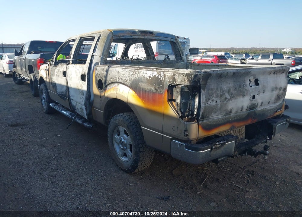 2013 FORD F-150 VIN: 1FTFW1EF4DKG08836