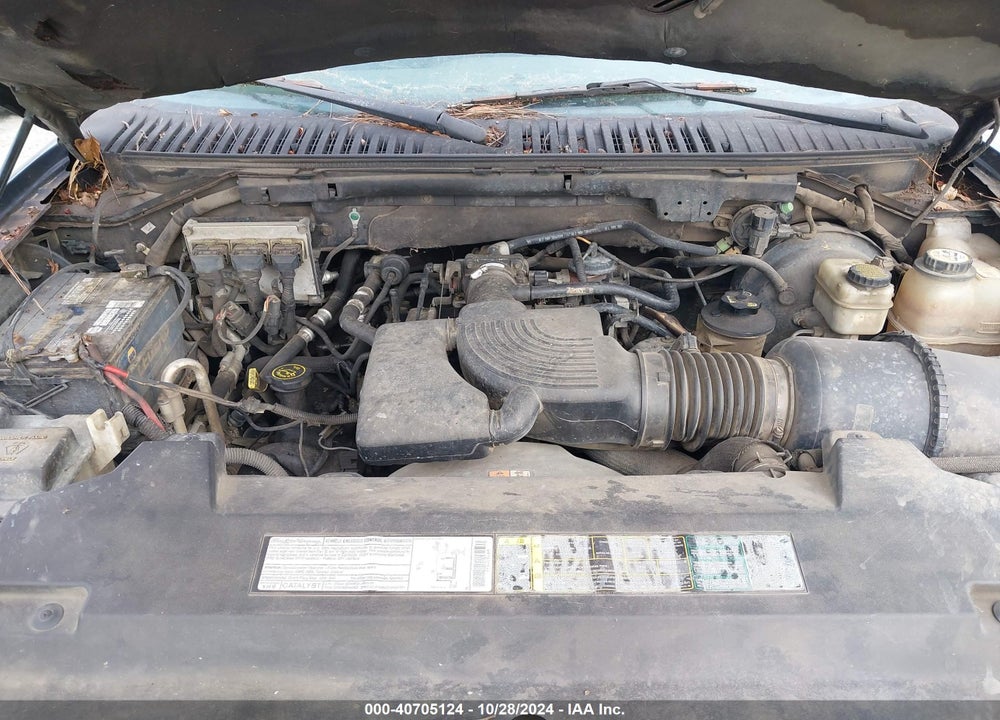 2003 FORD EXPEDITION XLT VIN: 1FMRU15L93LA39589