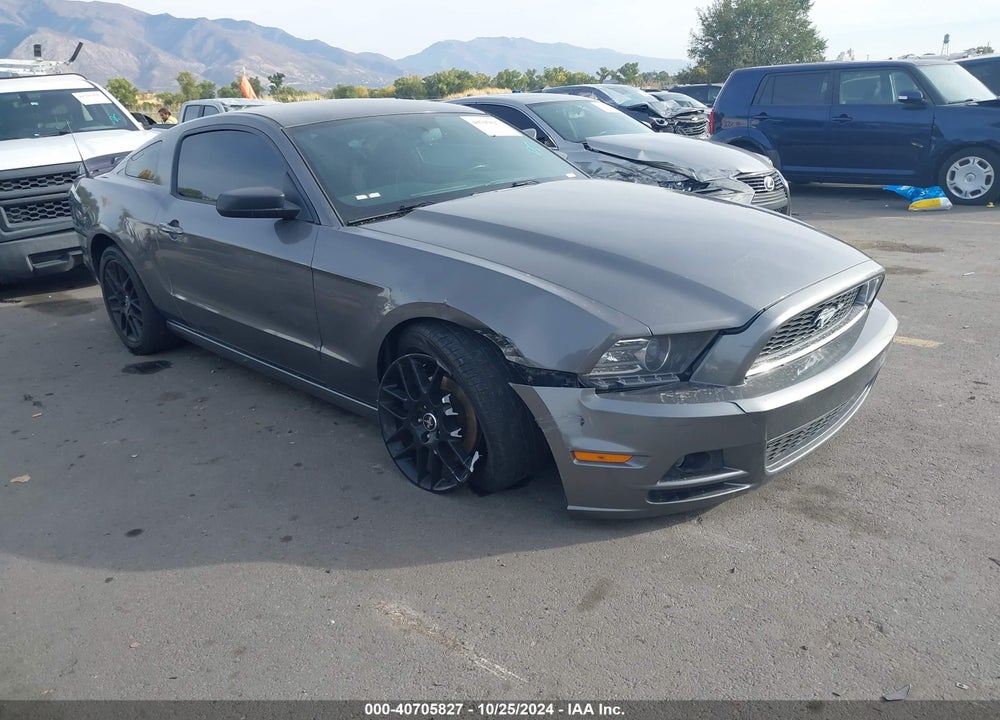 2014 FORD MUSTANG V6 VIN: 1ZVBP8AMXE5269554