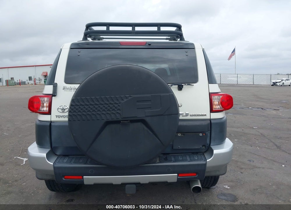 2010 TOYOTA FJ CRUISER VIN: JTEZU4BF3AK009491