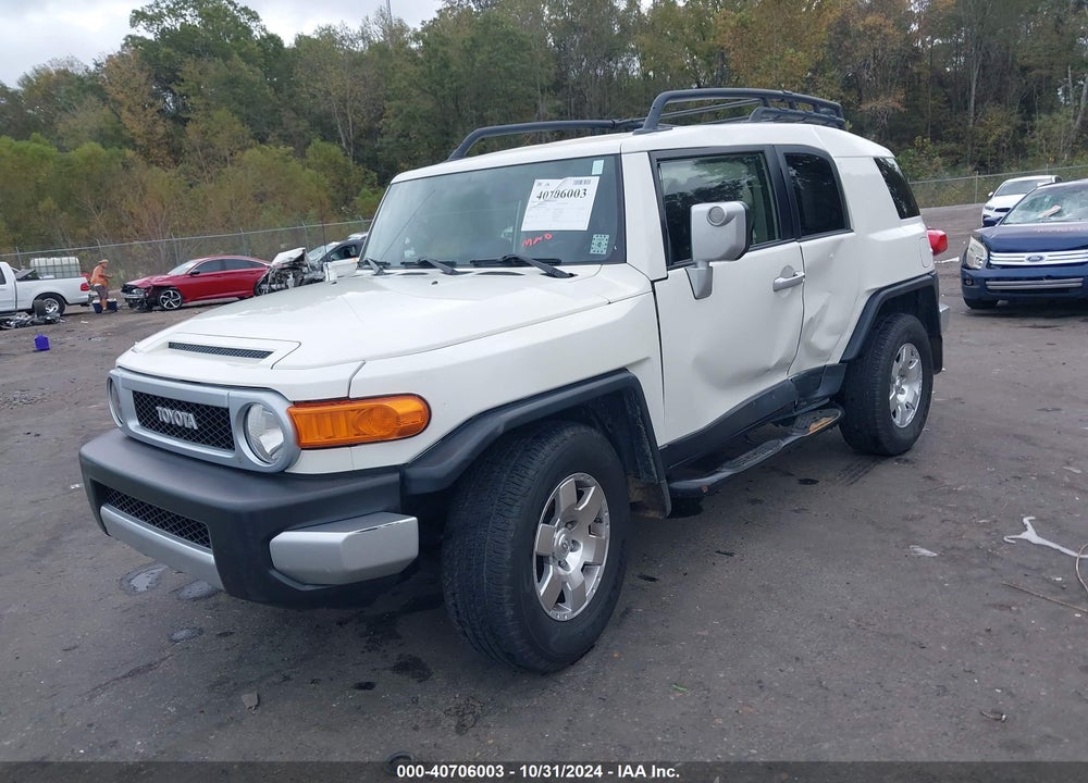 2010 TOYOTA FJ CRUISER VIN: JTEZU4BF3AK009491