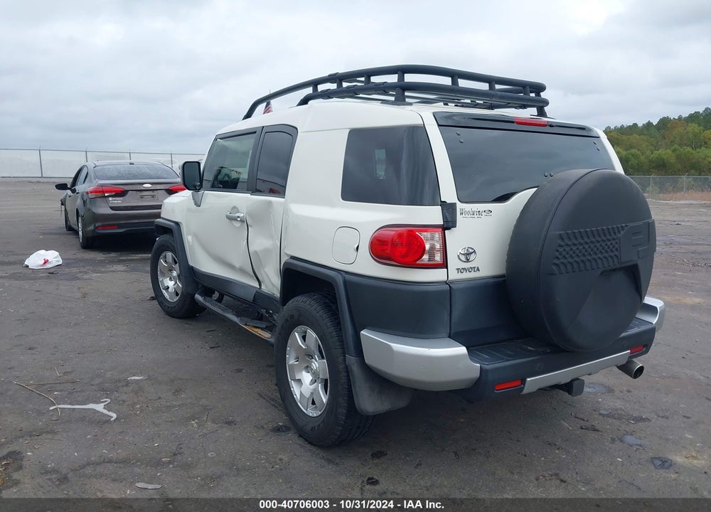 2010 TOYOTA FJ CRUISER VIN: JTEZU4BF3AK009491