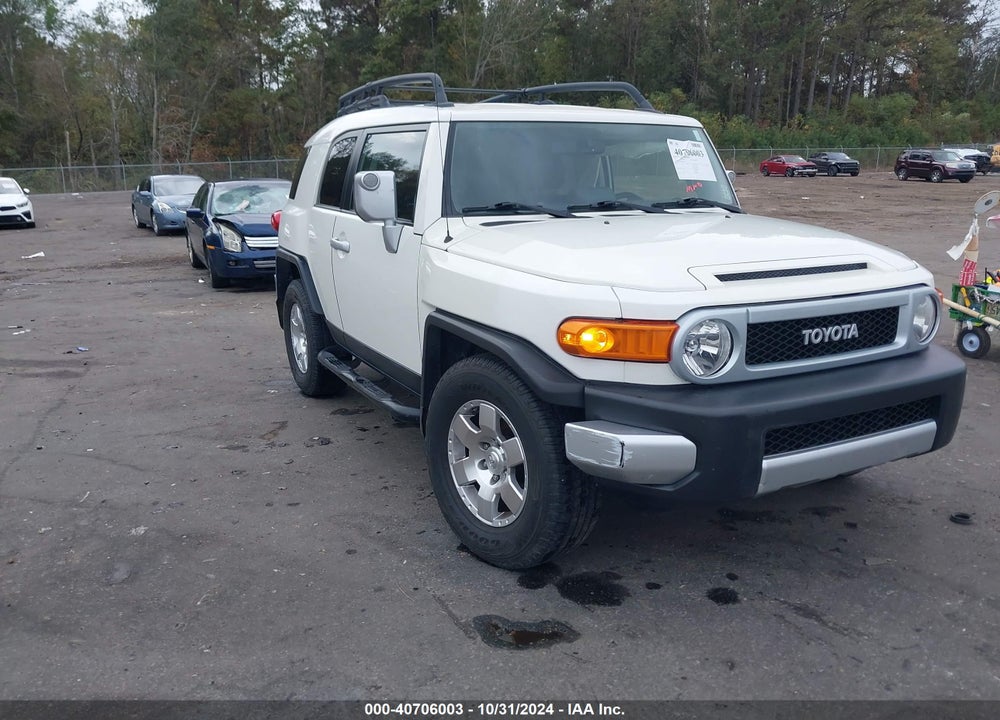 2010 TOYOTA FJ CRUISER VIN: JTEZU4BF3AK009491