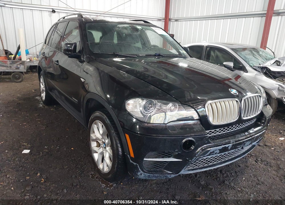 2011 BMW X5 XDRIVE50I VIN: 5UXZV8C52BL418039