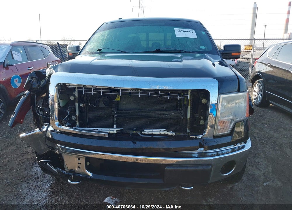 2013 FORD F-150 XLT VIN: 1FTFW1EF8DKD95387