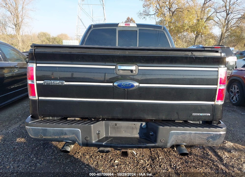 2013 FORD F-150 XLT VIN: 1FTFW1EF8DKD95387