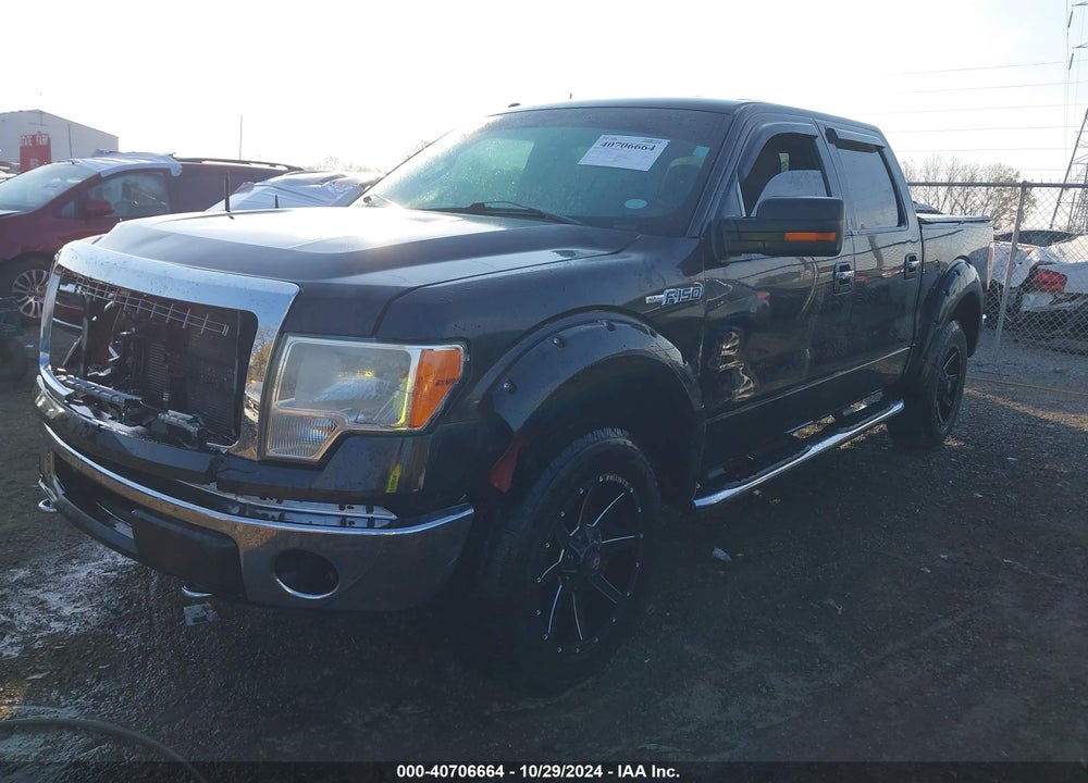 2013 FORD F-150 XLT VIN: 1FTFW1EF8DKD95387