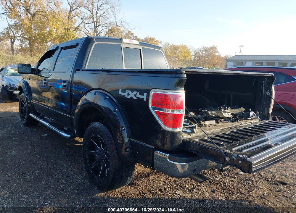 2013 FORD F-150 XLT VIN: 1FTFW1EF8DKD95387