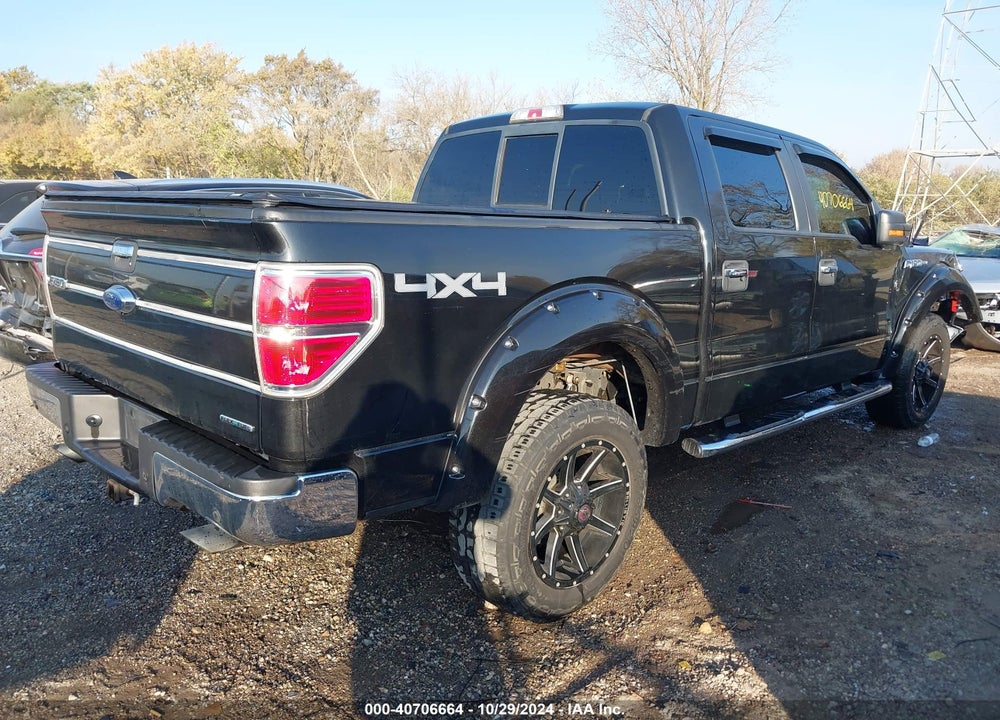 2013 FORD F-150 XLT VIN: 1FTFW1EF8DKD95387