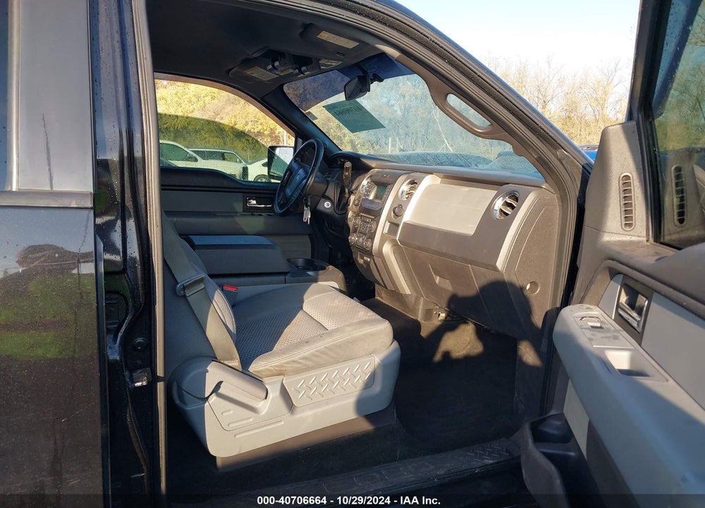 2013 FORD F-150 XLT VIN: 1FTFW1EF8DKD95387